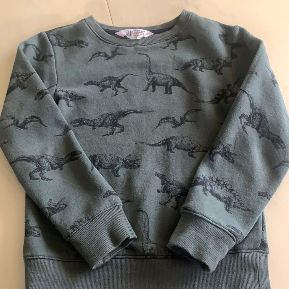 H&M Dino sweatshirt